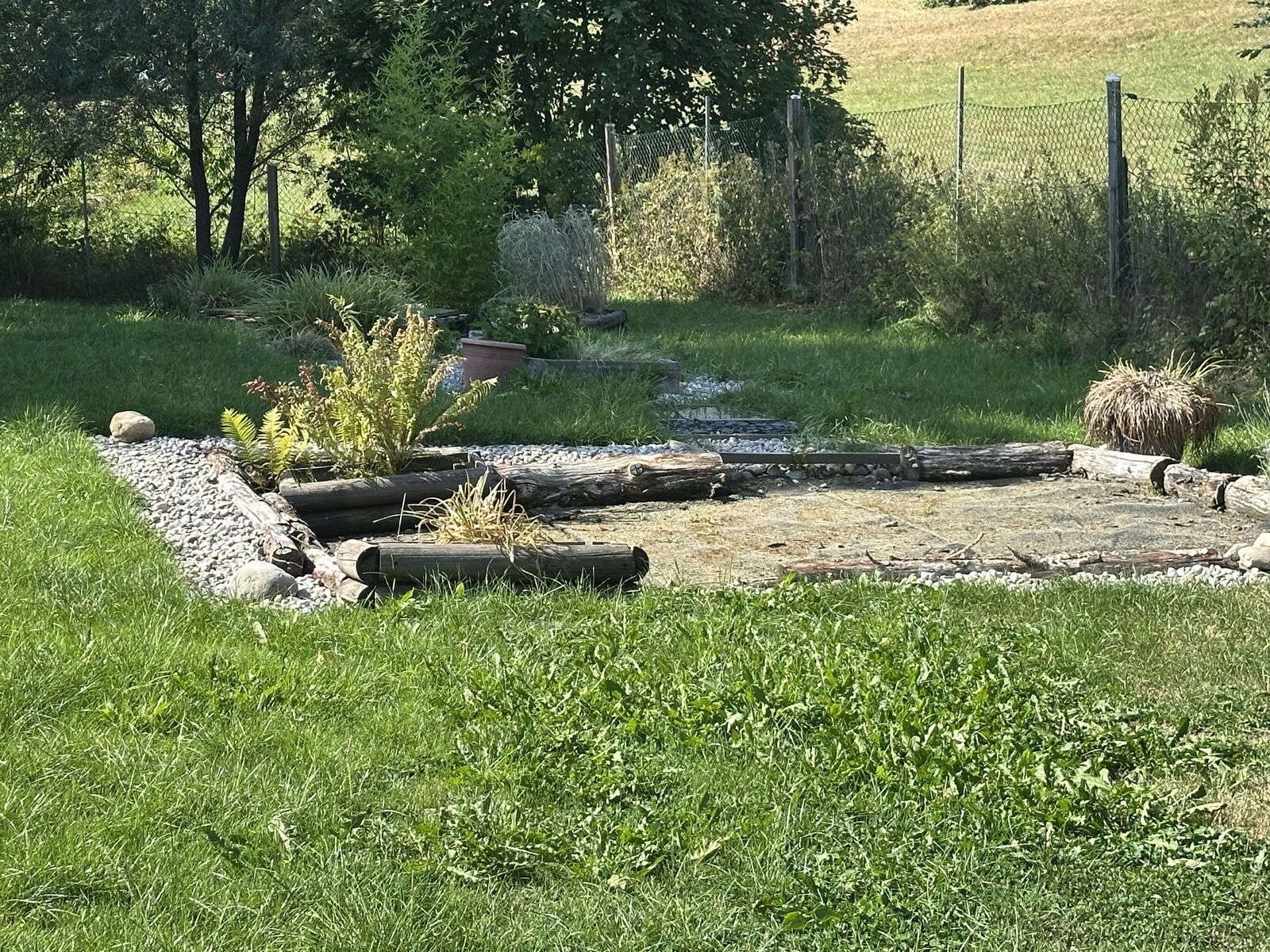 Wiese und flacher Teichbereich