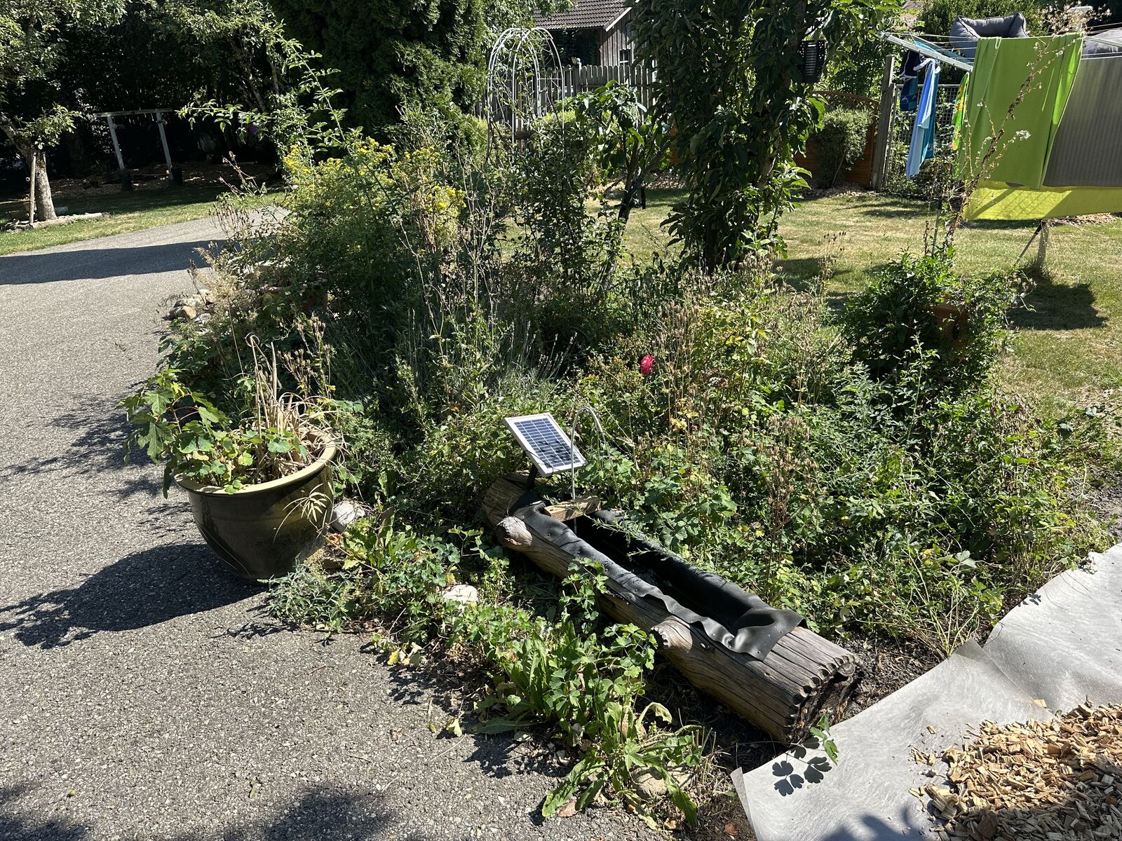 Geländebereich mit Bäumen und Wiese